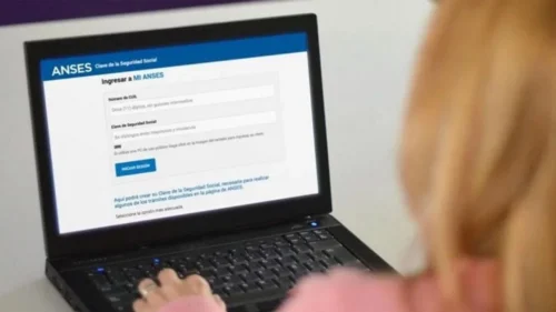 Cómo Ver Mis Aportes En ANSES